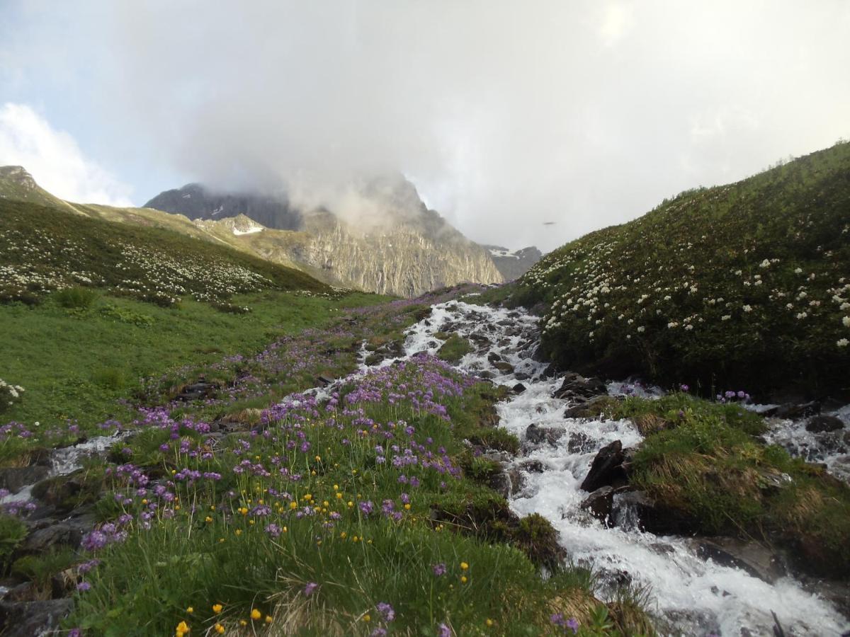 Tsknari Oda Oni Exteriér fotografie