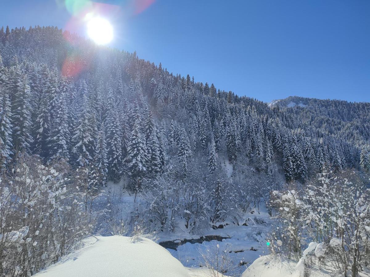 Tsknari Oda Oni Exteriér fotografie