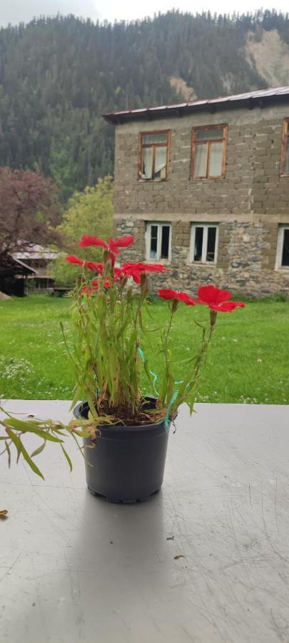 Tsknari Oda Oni Exteriér fotografie